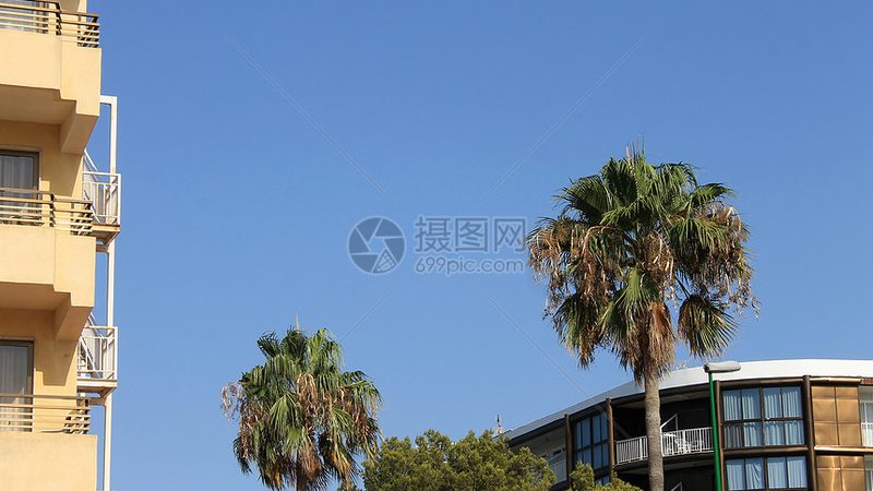 研学旅行机构：如何选择合适的合作伙伴